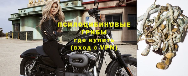 молекула духа Алексин