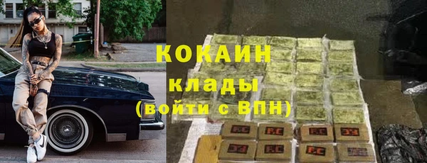 шишки Магас